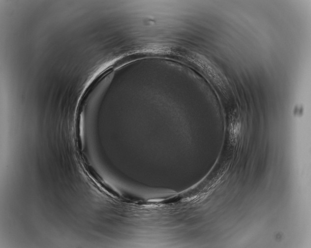 X0000099290484200805021235