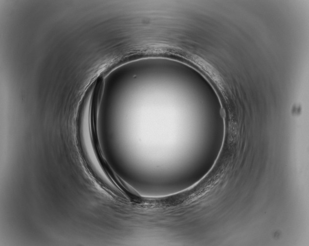 X0000099290485200805021235