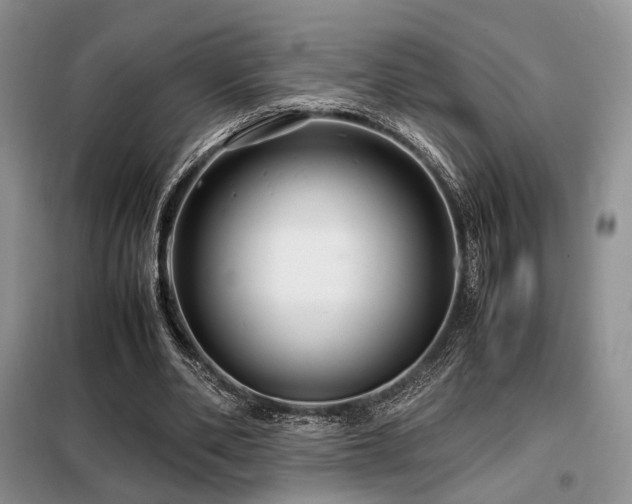 X0000099290486200805021235