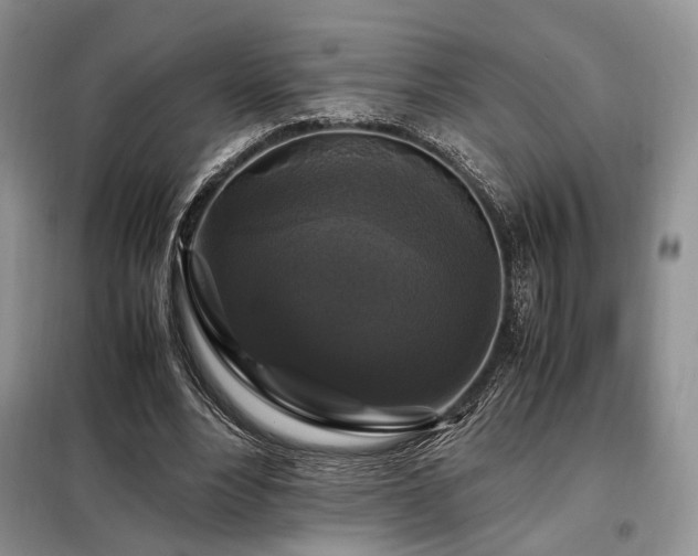 X0000099290488200805021235