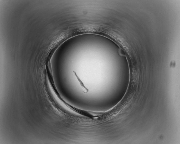 X0000099290489200805021235