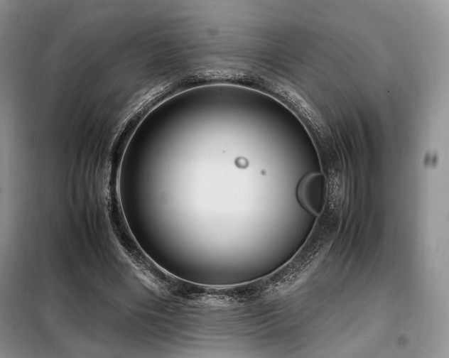 X0000099290490200805021235