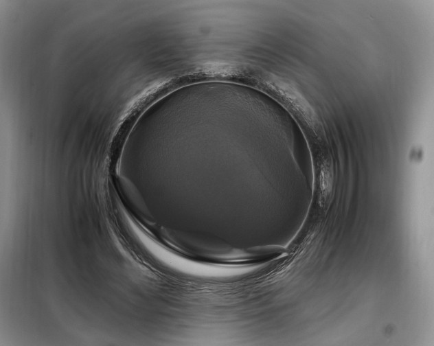 X0000099290492200805021235