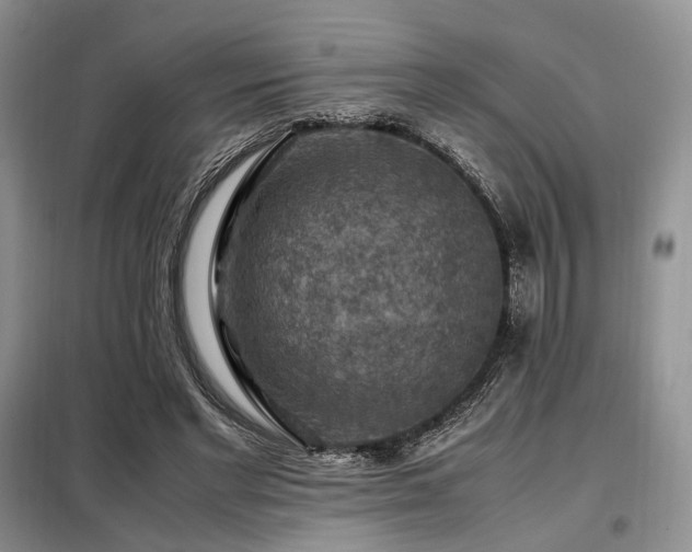 X0000099290493200805021235