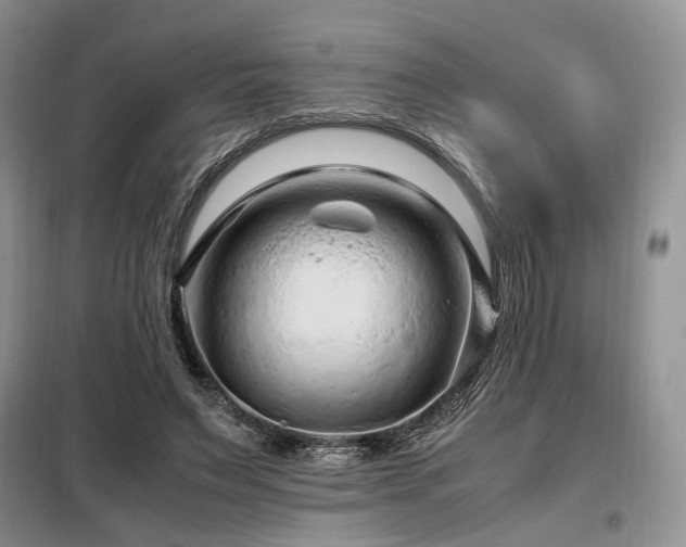 X0000099290495200805021235