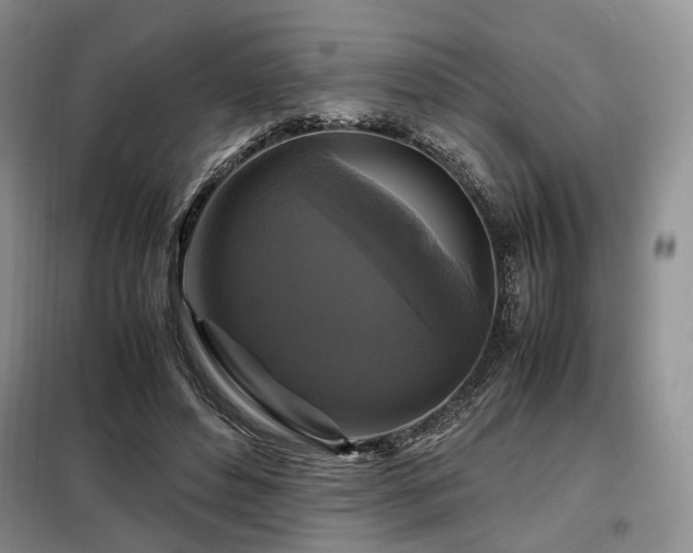 X0000099290496200805021235