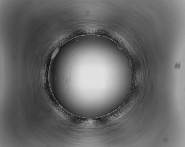 X0000099290497200805021234