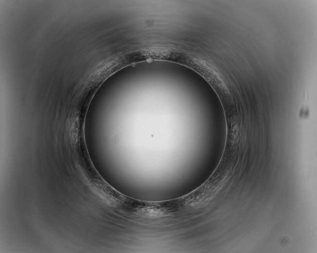 X0000099290498200805021234