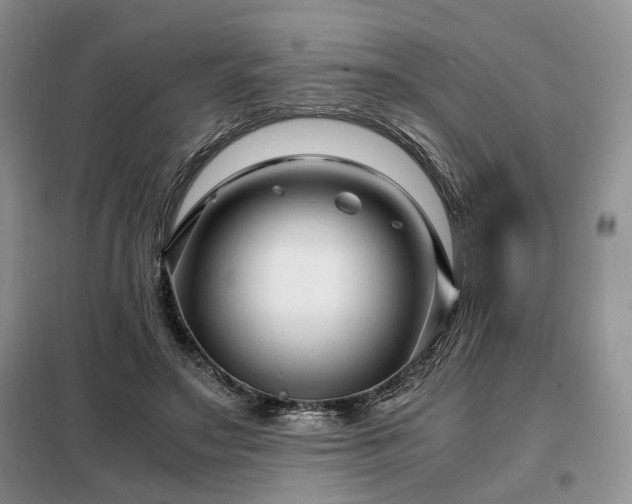 X0000099290499200805021234
