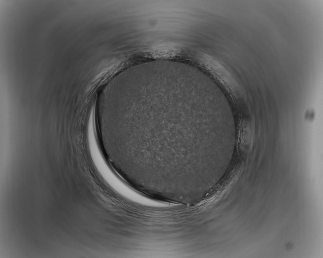 X0000099290501200805021234