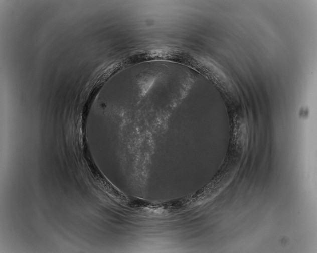 X0000099290502200805021234