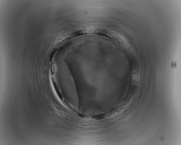 X0000099290503200805021234