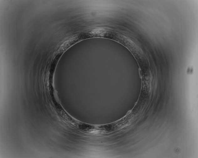 X0000099290504200805021234