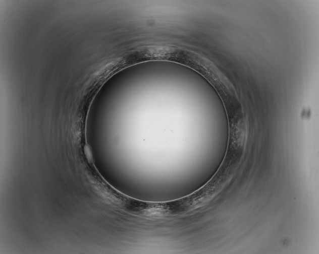 X0000099290505200805021234