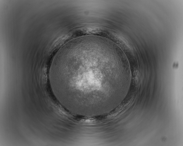 X0000099290506200805021234