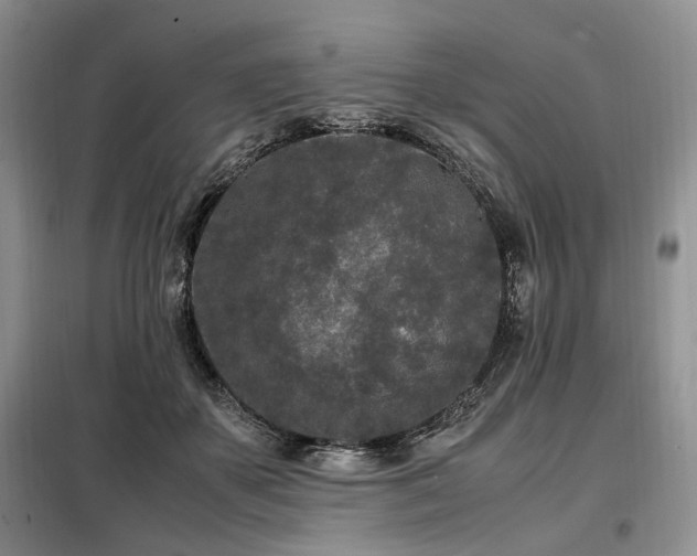 X0000099290507200805021234