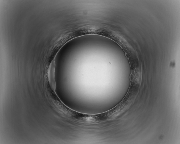 X0000099290509200805021234