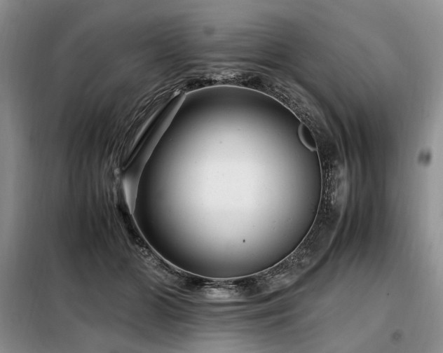 X0000099290510200805021234