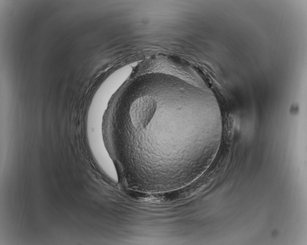 X0000099290511200805021234