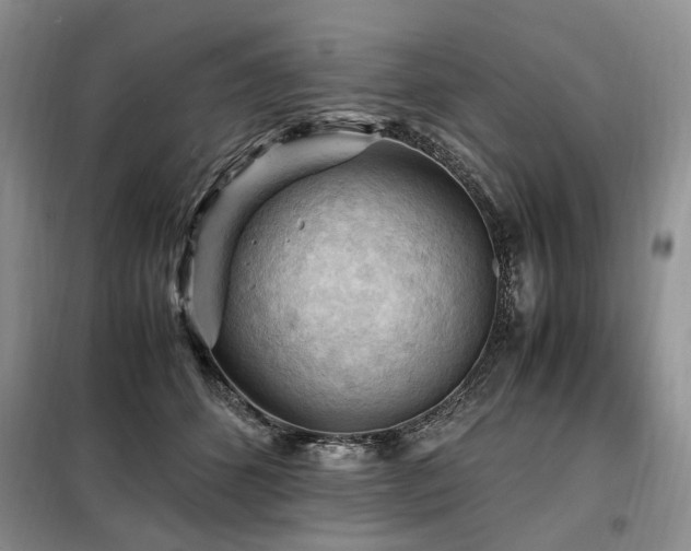 X0000099290512200805021234