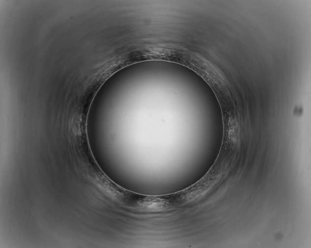X0000099290514200805021234