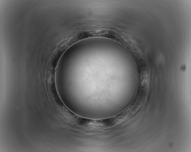 X0000099290515200805021234