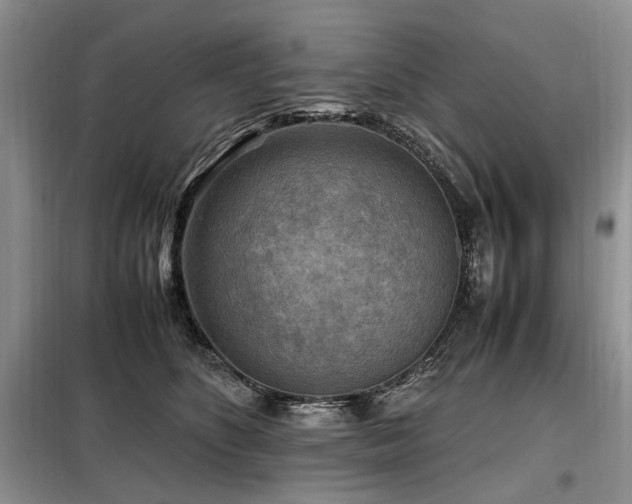 X0000099290516200805021234