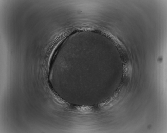 X0000099290517200805021234