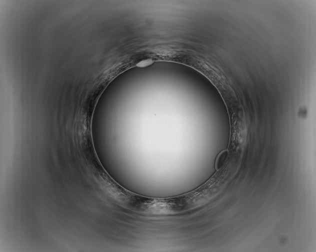 X0000099290518200805021234