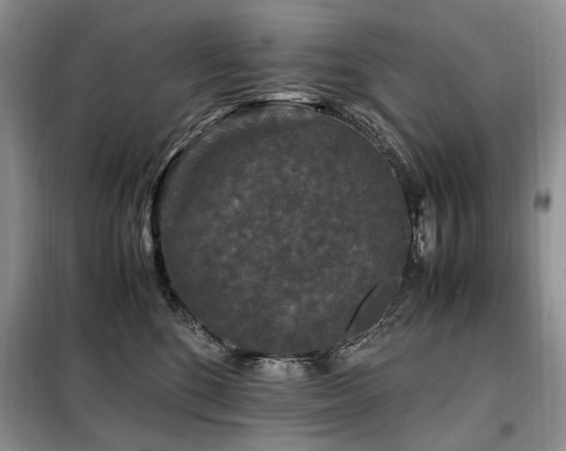 X0000099290520200805021234