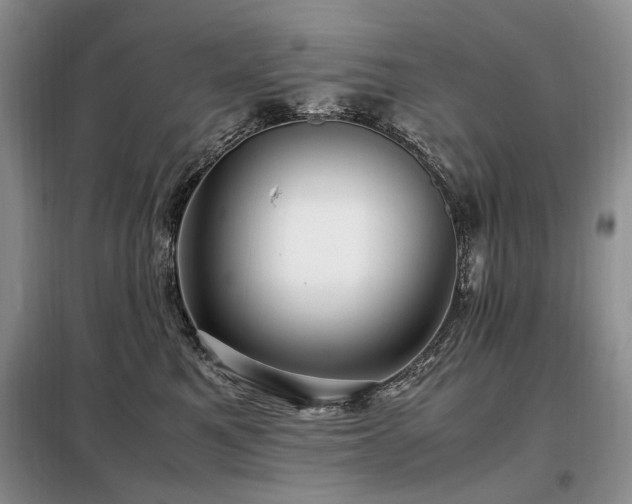 X0000099290521200805021234