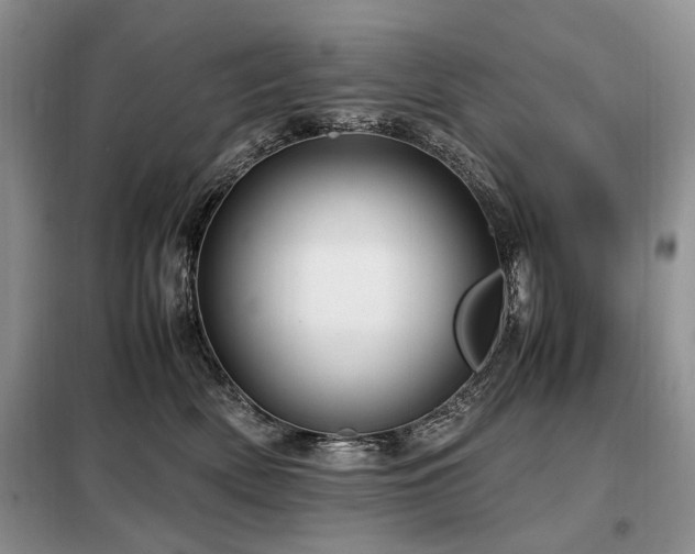 X0000099290522200805021234