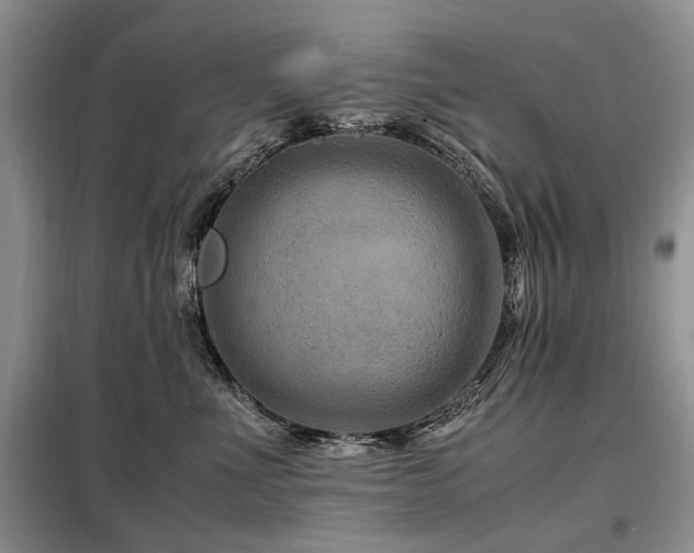X0000099290523200805021234