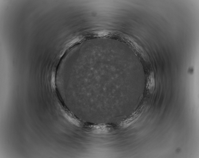 X0000099290524200805021234