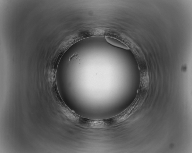 X0000099290525200805021234