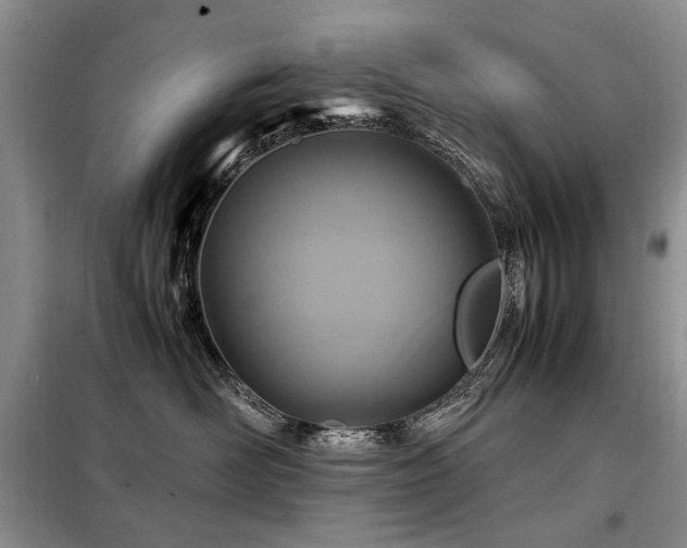 X0000099290526200805021234