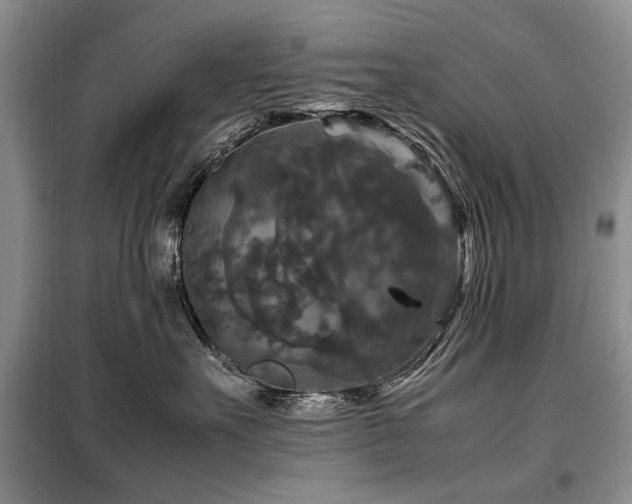 X0000099290527200805021234