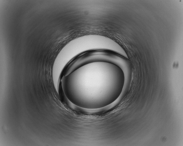 X0000099290528200805021234