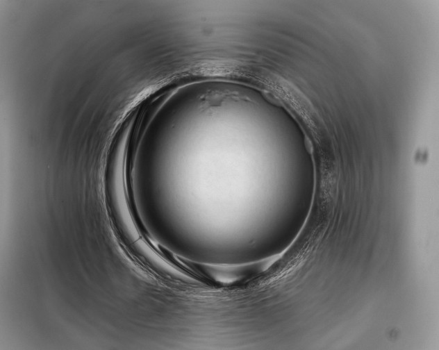 X0000099290530200805021233