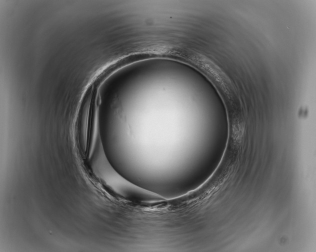 X0000099290532200805021233
