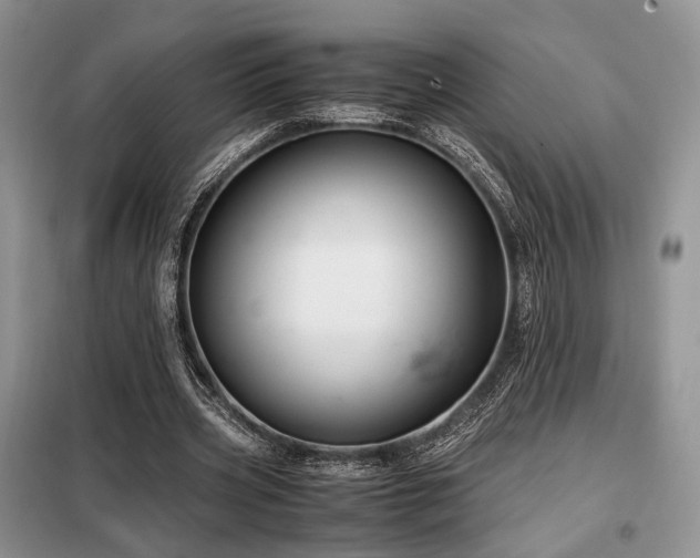 X0000099290533200805021233