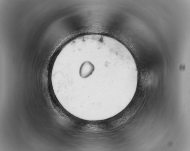 X0000099290534200805021233