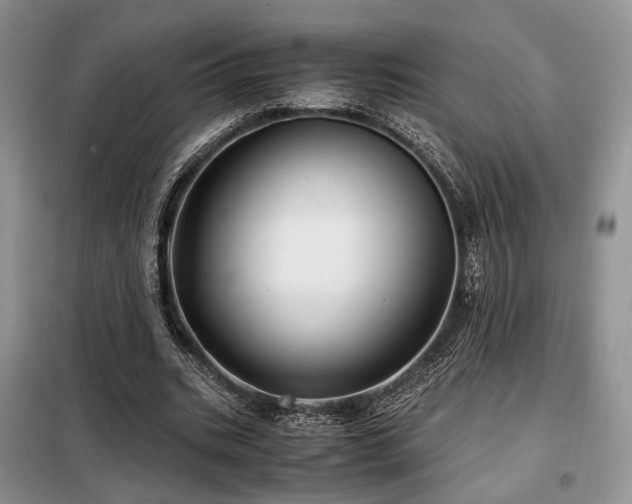 X0000099290535200805021233