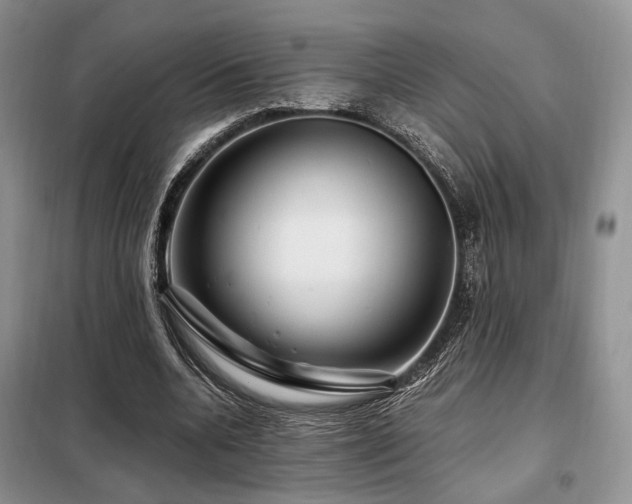 X0000099290536200805021234