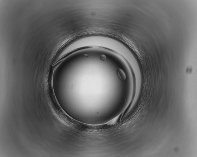 X0000099290538200805021234
