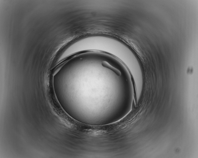 X0000099290539200805021234