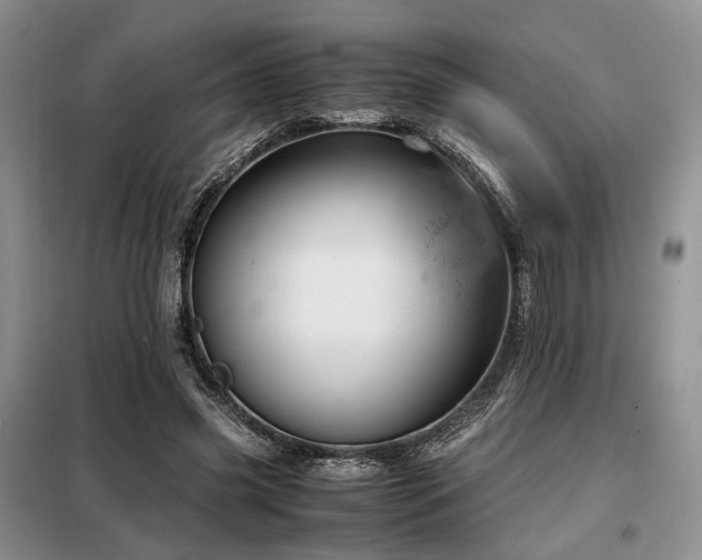 X0000099290541200805021234