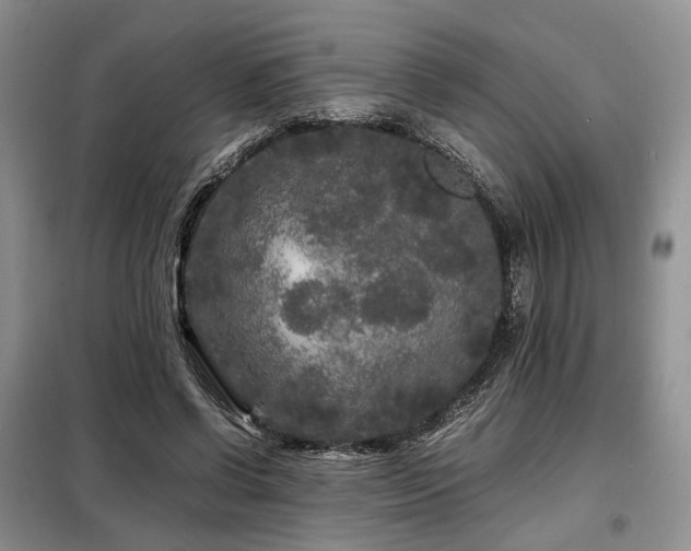 X0000099290542200805021234