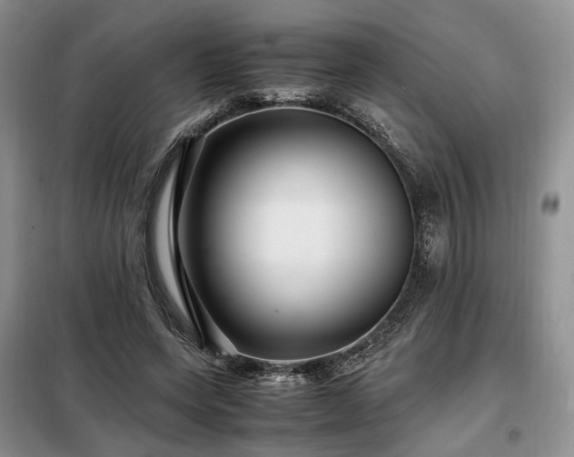 X0000099290543200805021234