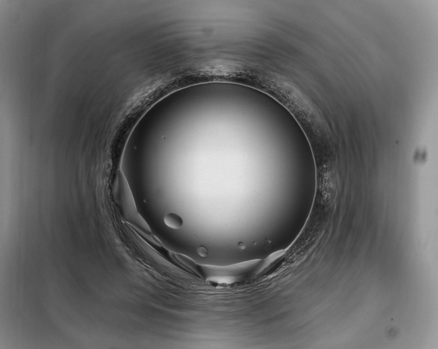 X0000099290544200805021234